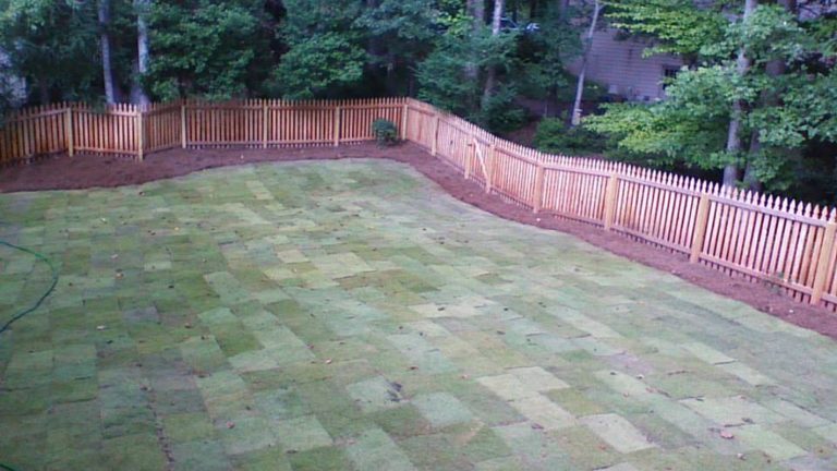 Caring for New Sod Lawns in Georgia