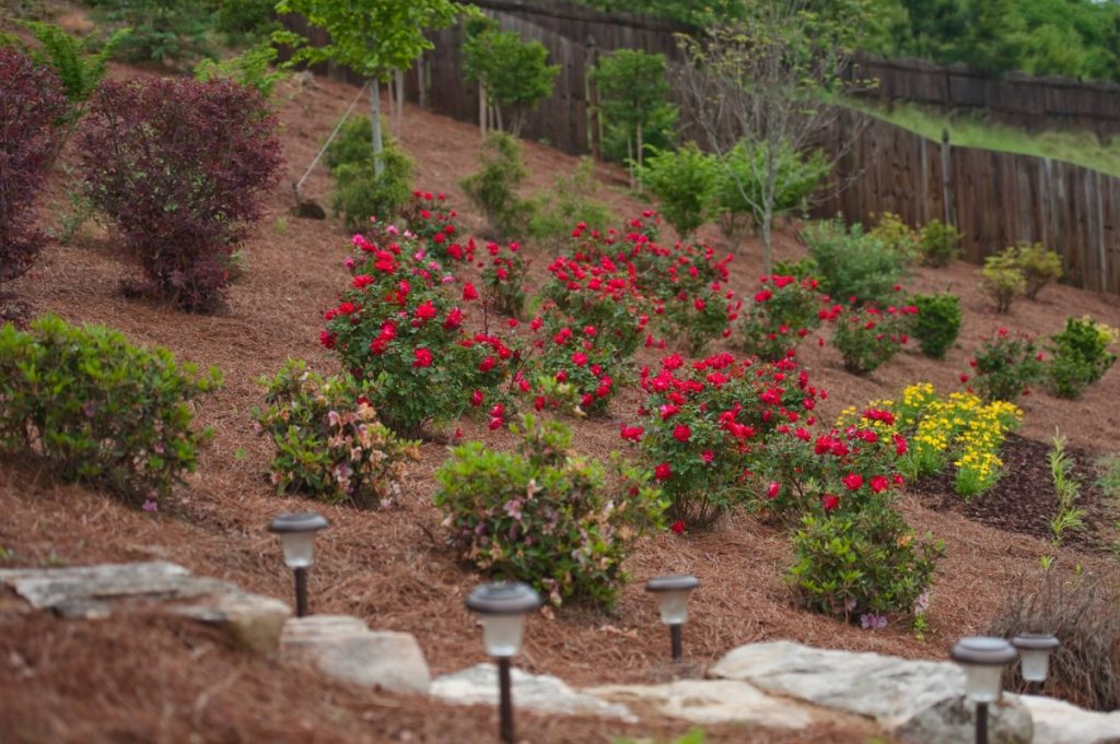 12402085 10153170319541400 8717815937011843623 o 800