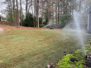 163048978 10157690372826400 7701720661954098730 n 1 800