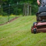 476464 10150710424541400 613919713 o 800