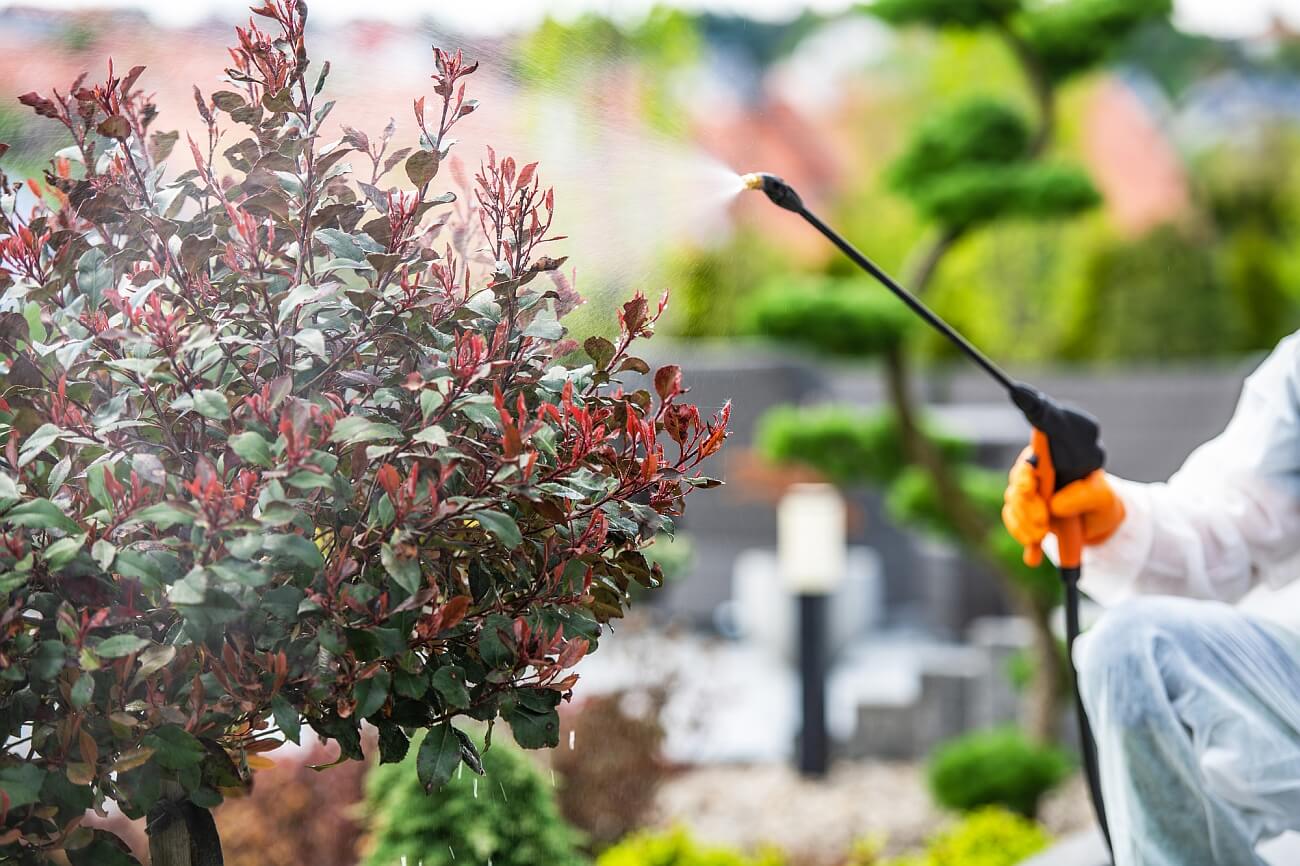 Spray Fertilize Shrub 1300