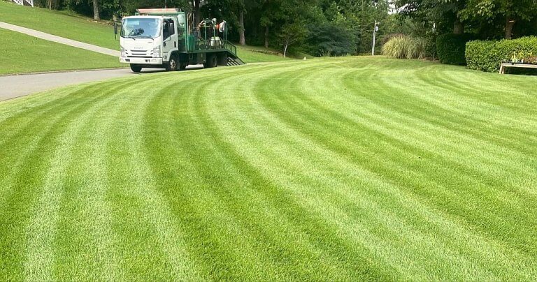 The Benefits of Professional Lawn Care Services for a Lush Green Lawn