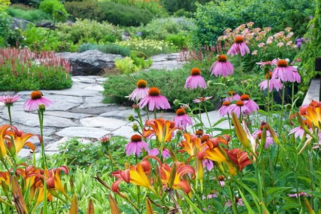 Pollinator Friendly Gardens