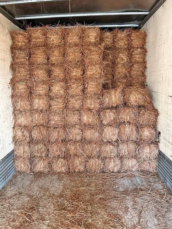 Pine Straw in Truck 800